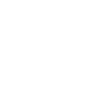 CMMC LEVEL Logo
