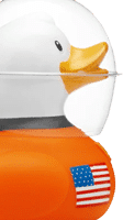 NASA SEWP duck logo